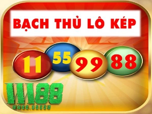 Soi lô cầu kép là gì? Các loại soi lô cầu kép phổ biến